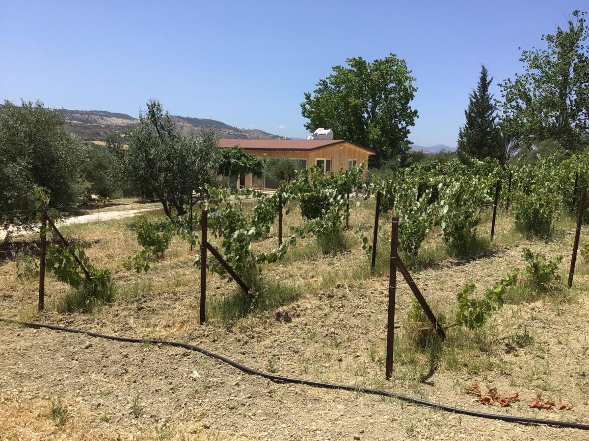 Pervolaris Cottages 2 Goudhi Buitenkant foto