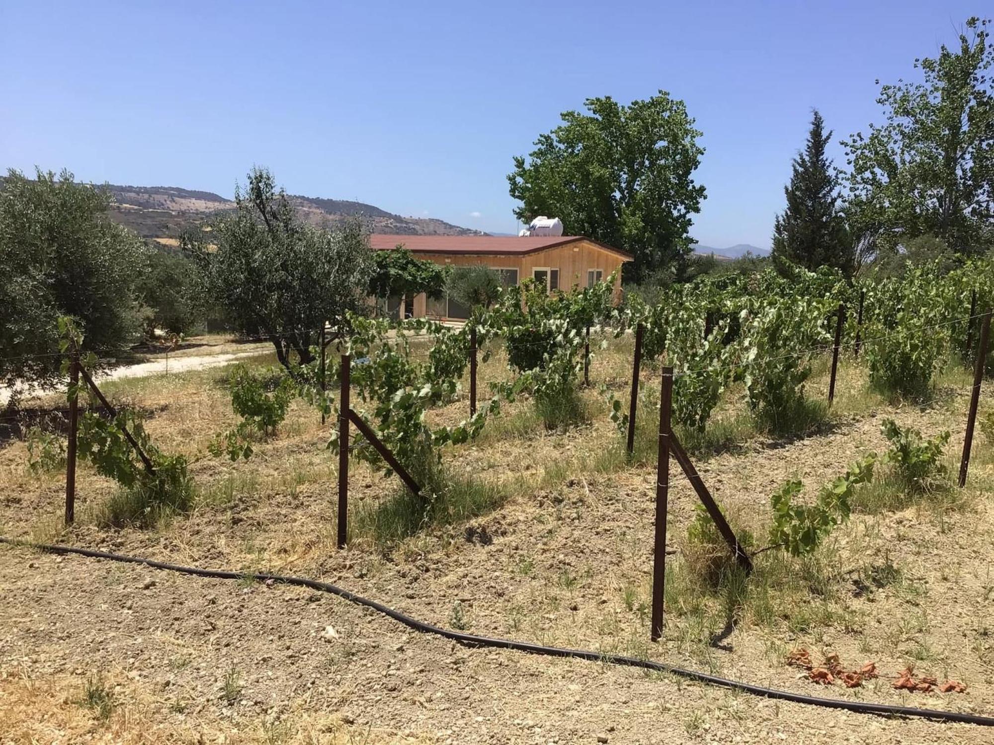 Pervolaris Cottages 2 Goudhi Buitenkant foto